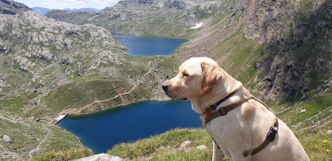Pension Brunhild San Leonardo in Passiria Dış mekan fotoğraf